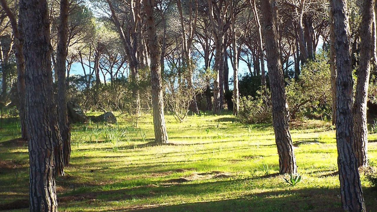 Villetta con giardino a budoni Esterno foto