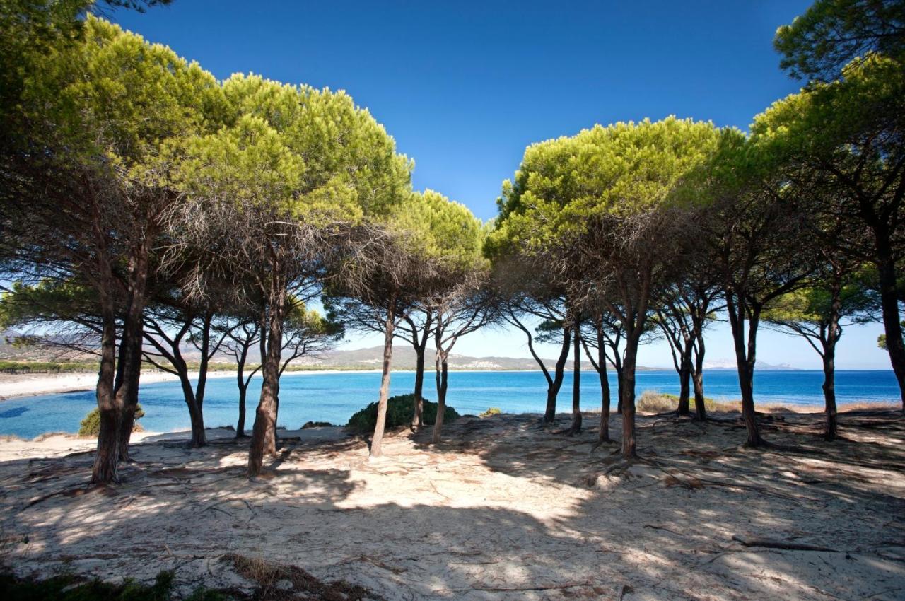 Villetta con giardino a budoni Esterno foto